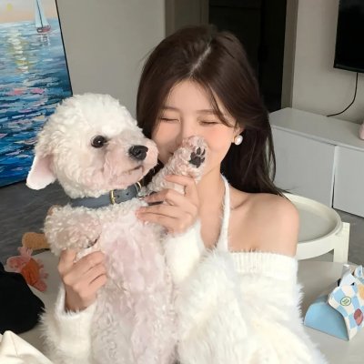 我的魔法仙妻